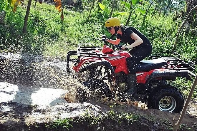 San Juan 2-hour ATV / Minutes away from most Hotels in the area - From San Juan hotels to Hacienda Campo Rico