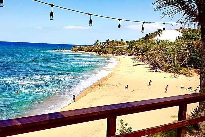 San Juan Airport to Fajardo and Ceiba One Way Trip - What the one-way journey includes