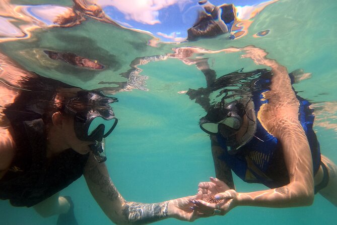 San Juan Guided Snorkel With Turtles Tour and Videos - Escambron Beach Is the Starting Point