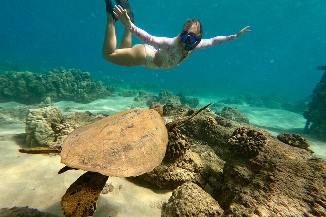 San Juan Guided Snorkel With Turtles Tour and Videos - One to One and a Half Hours in the Water