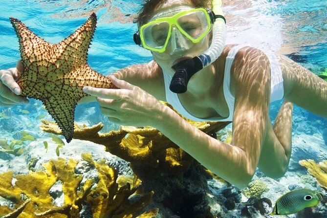 San Juan Guided Snorkeling Experience - With Transport 8am or 3pm - Key points to know before you book