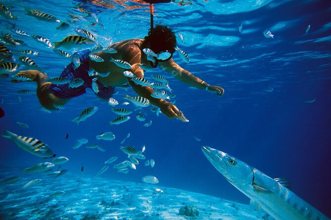San Juan Guided Snorkeling Experience - With Transport 8am or 3pm - Is $89 a good price?