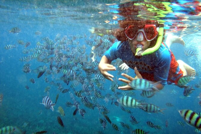 San Juan Guided Snorkeling Experience - With Transport 8am or 3pm - Pickup, meeting point, and timing