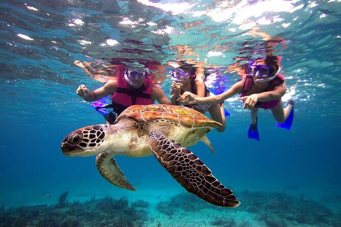 San Juan Guided Snorkeling Experience - With Transport 8am or 3pm - The 90-minute water session