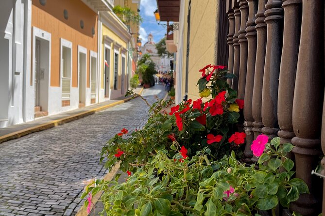 San Juan Highlights Driving Tour - The Guide Can Make or Break the Day