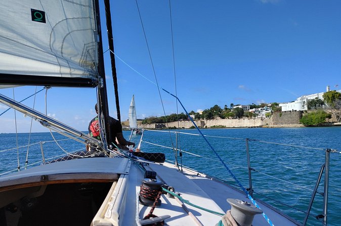 San Juan Historical Bay Daytime Sailing Tour - Drinks, wildlife, and the feel aboard