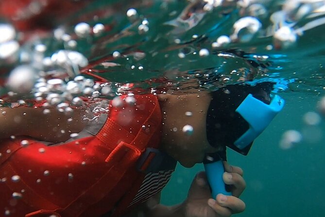 San Juan: Kids and Family Snorkeling Adventure with Videos - What the shore entry means for your family