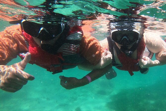San Juan: Kids and Family Snorkeling Adventure with Videos - From shallow fish to possible sea turtles
