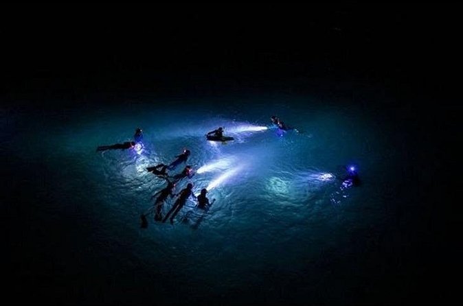 San Juan LED Night Snorkel - The LED and UV light show beneath the surface