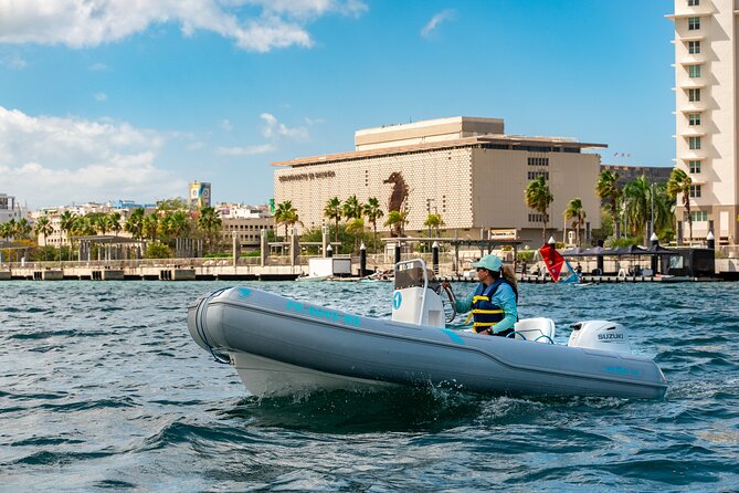 San Juan Mini Boat Tour - Steering your own 13-foot inflatable boat