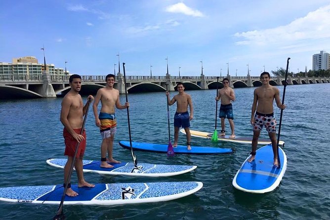San Juan | Paddleboard | Kayak | Snorkeling | Guided Tours - Following the Guide Through Laguna del Condado
