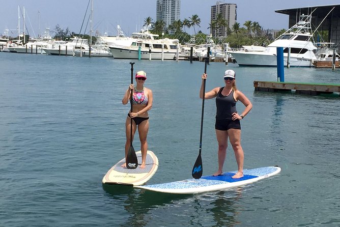 San Juan | Paddleboard | Kayak | Snorkeling | Guided Tours - Weather, Water Conditions, and Wildlife