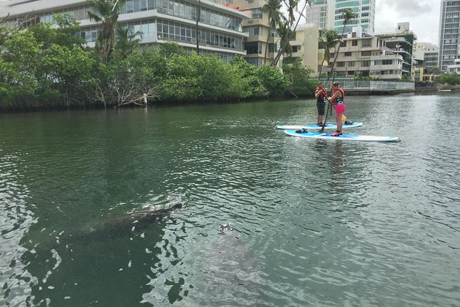 San Juan | Paddleboard | Kayak | Snorkeling | Guided Tours - Practical Booking Advice Before You Go