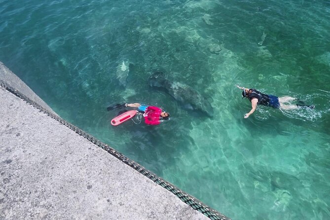 San Juan Snorkel with Turtles and Manatee's; Free Video and Rum! - What the 90-minute outing is really like