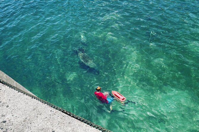 San Juan Snorkel with Turtles and Manatee's; Free Video and Rum! - Practical preparation for a smoother swim