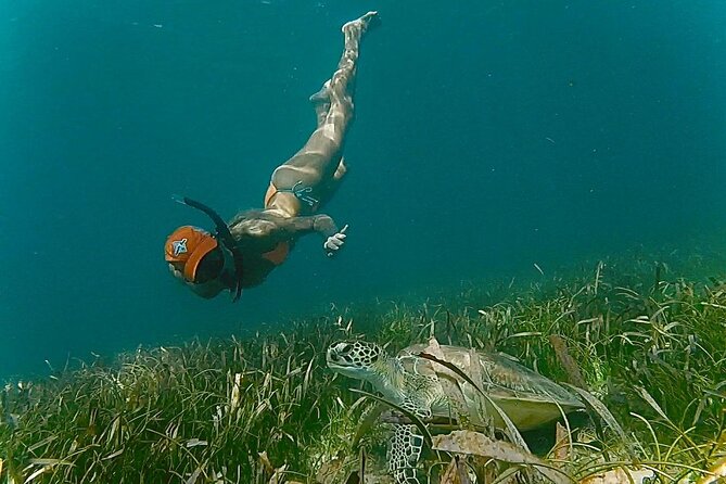 San Juan Snorkel with Turtles and Manatee's; Free Video and Rum! - Weather and last-minute changes
