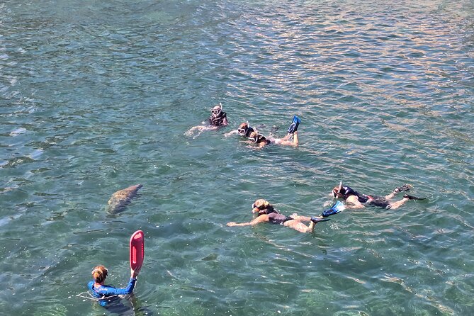 San Juan Snorkel with Turtles and Manatee's; Free Video and Rum! - Who will enjoy this most