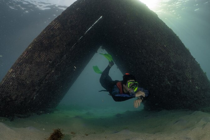 San Juan Snorkeling Tour with Fish and Turtles - Is $67 a fair price?