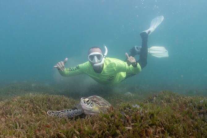 San Juan Snorkeling Tour with Fish and Turtles - Fish Protection Wall, Atlantis, and Taino Reefs