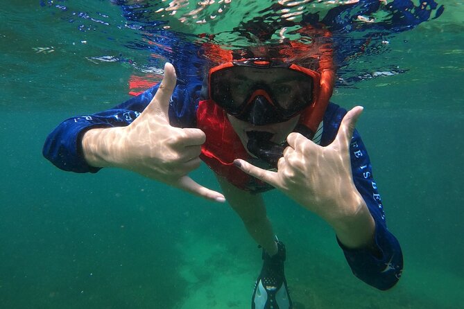 San Juan: Snorkeling with Turtles Adventure and Free Videos - Free photos and videos make this more than a quick swim