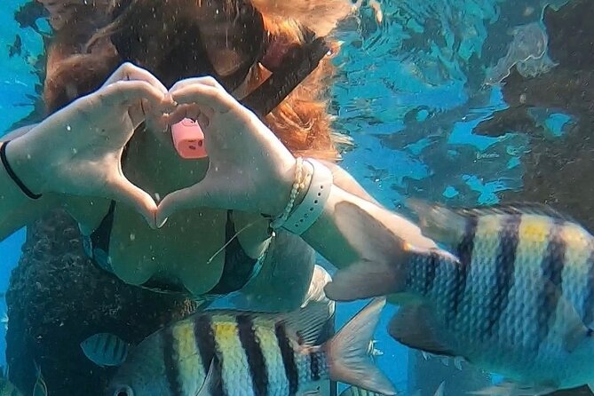 San Juan: Snorkeling with Turtles Adventure and Free Videos - Group size: personal attention, with one important caveat