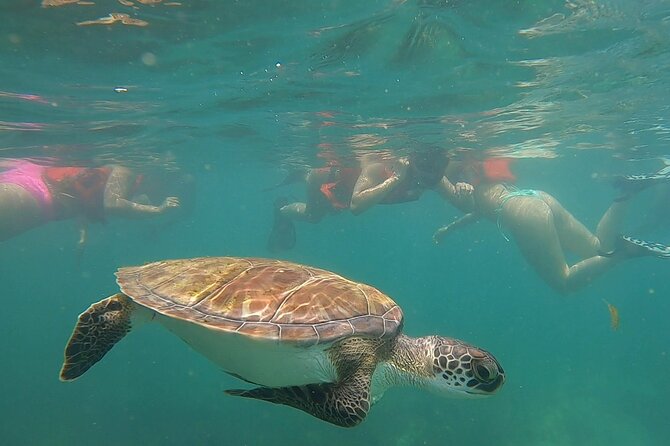 San Juan: Snorkeling with Turtles Adventure and Free Videos - Safety, comfort, and who should skip it