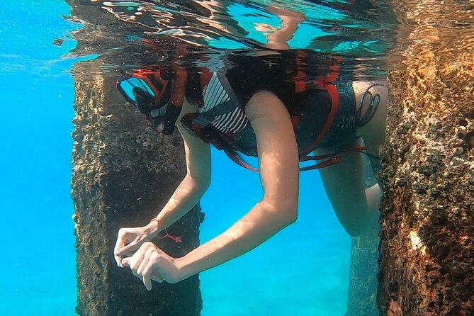 San Juan: Snorkeling with Turtles Adventure and Free Videos - The best guide qualities to look for