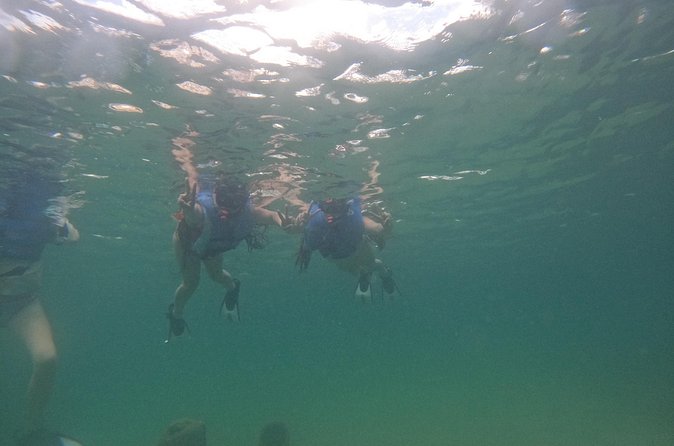 San Juan Turtle Spotting Snorkel Adventure with Videos - How weather changes the view
