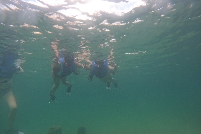 San Juan Turtle Spotting Snorkel Adventure with Videos - The videos are more useful than a souvenir photo