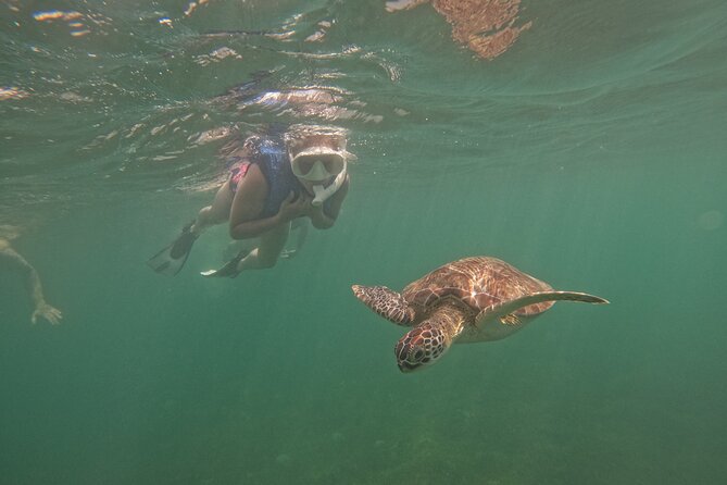 San Juan Turtle Spotting Snorkel Adventure with Videos - Safety briefing and gear fitting