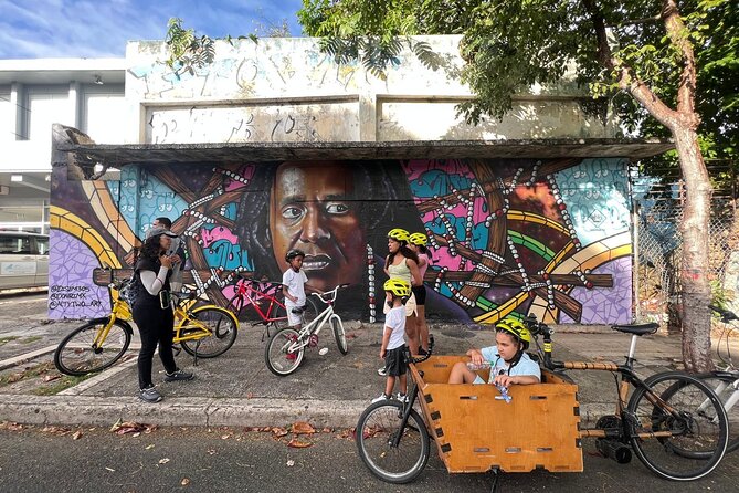 San Juan Urban Art Bike Tour 2 Hour and 4 Hour Options - What the private format changes