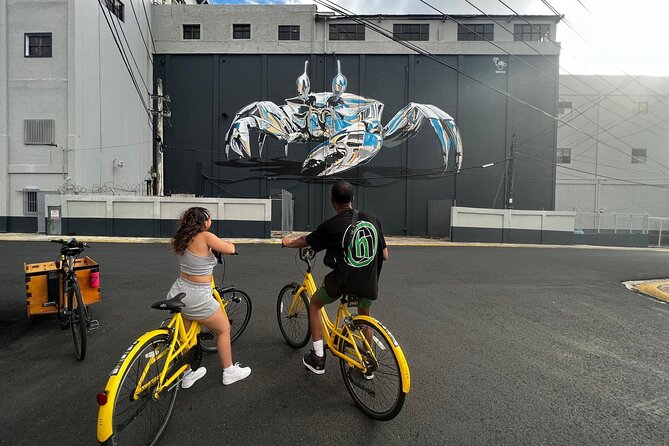 San Juan Urban Art Bike Tour 2 Hour and 4 Hour Options - Starting at Laguna del Condado