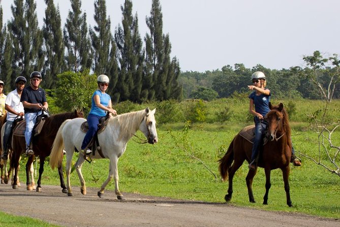 Scenic Horseback Riding Tour from San Juan - Meeting the Paso Fino horses