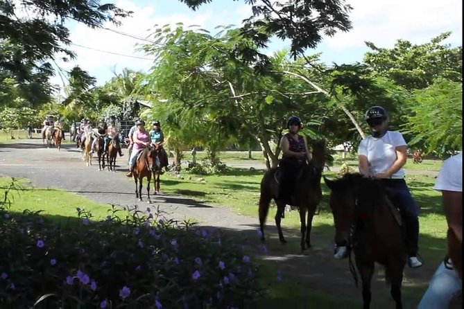 Scenic Horseback Riding Tour from San Juan - Heat, mud, bugs, and the right clothes