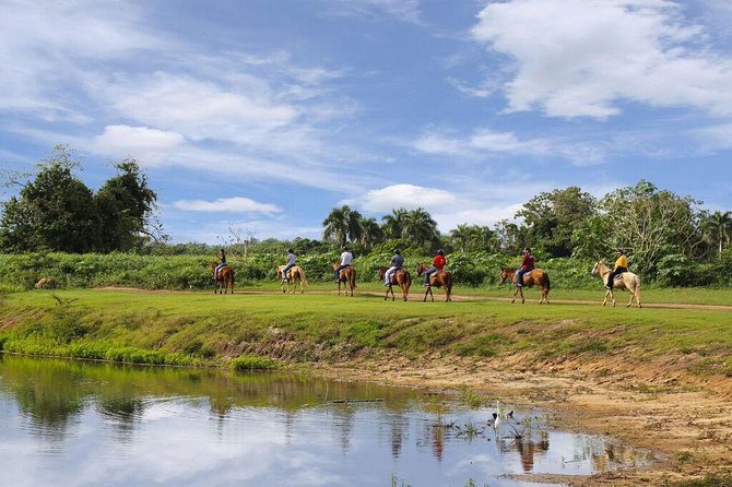Scenic Horseback Riding Tour from San Juan - The weight and age rules are not flexible