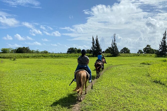 Scenic Horseback Riding Tour from San Juan - Riding through the 2,200-acre ranch