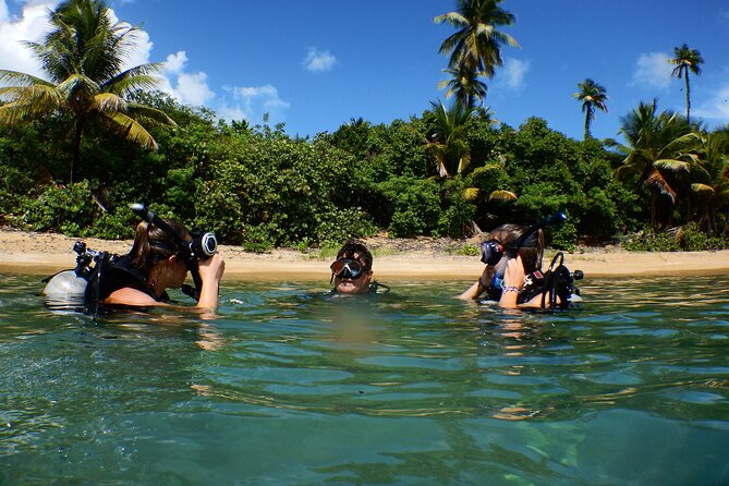 Scuba Dive and Snorkel Private Charter in Puerto Rico - A private morning on Puerto Rico’s east coast