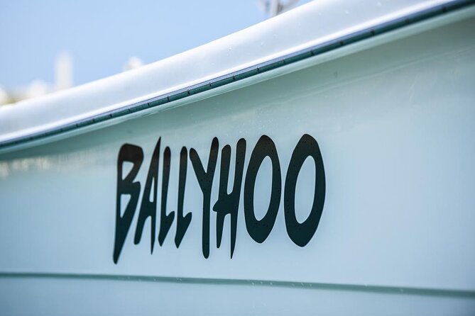 Scuba Dive and Snorkel Private Charter in Puerto Rico - Why the mixed-activity format works