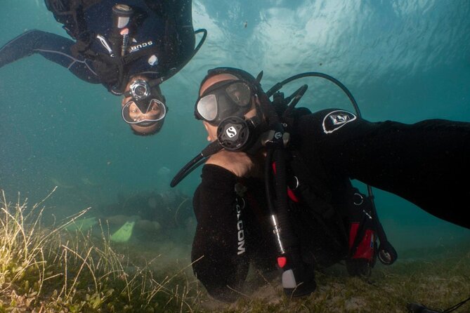 Scuba Tour for Certified Divers in San Juan - Why Escambrón is a smart place for a city scuba outing