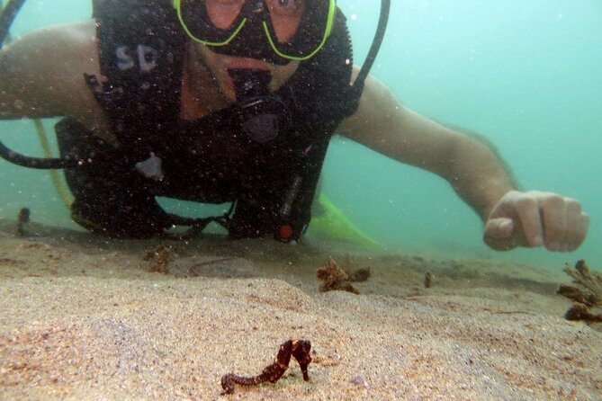 Scuba Tour for Certified Divers in San Juan - What the $91 price really covers