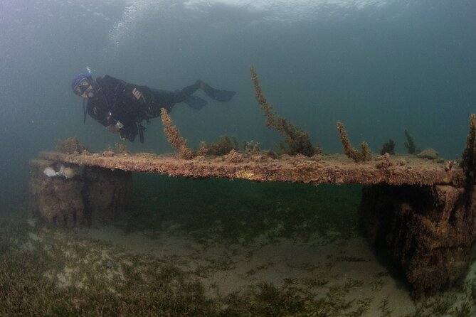 Scuba Tour for Certified Divers in San Juan - Who will enjoy this best