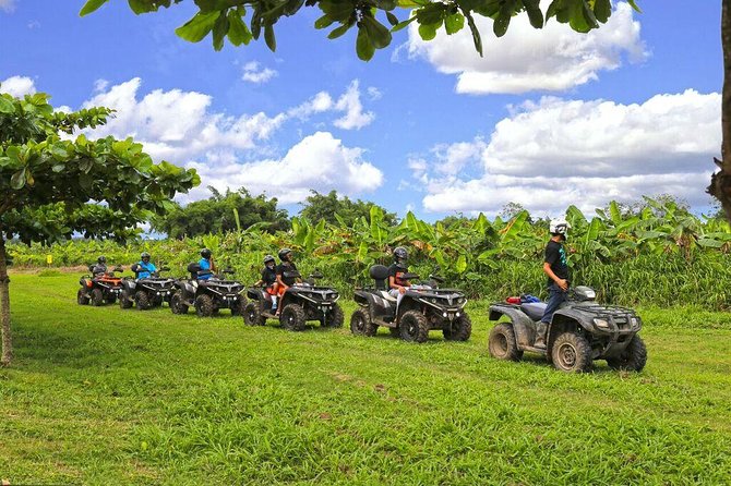 Single ATV Experience: Free Piña Colada + Hacienda Transfer - Riding the hills, mangroves, and muddy trails