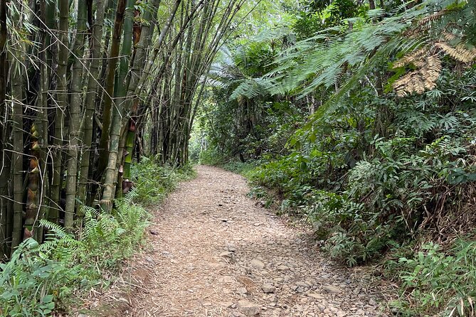 Small Group El Yunque Half Day Tour with Transport: Waterslide - The waterslide delivers the big moment
