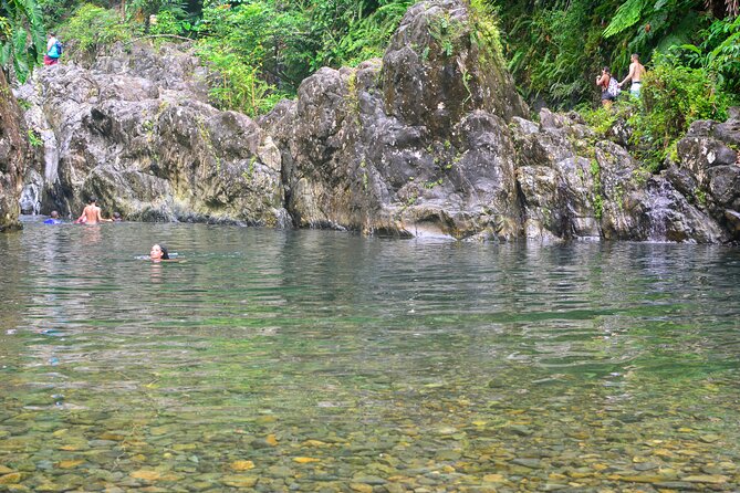 Small-Group El Yunque Rainforest Vivid Day Tour with Transport - Key points to know before booking