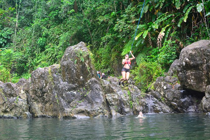 Small-Group El Yunque Rainforest Vivid Day Tour with Transport - What this El Yunque tour really is