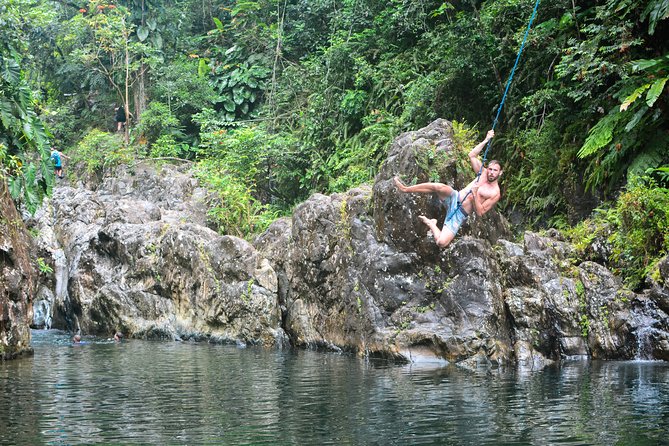 Small-Group El Yunque Rainforest Vivid Day Tour with Transport - The first natural pool and a chance to slow down