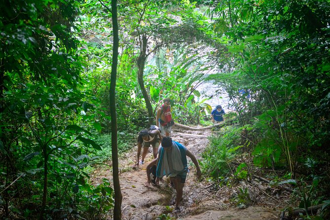 Small-Group El Yunque Rainforest Vivid Day Tour with Transport - Guides, safety, and the small-group advantage
