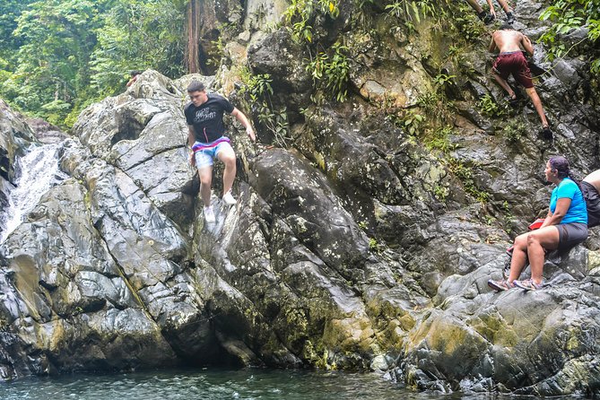 Small-Group El Yunque Rainforest Vivid Day Tour with Transport - Is the $75 price good value?