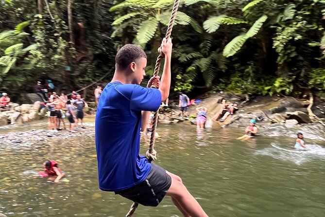 Small-Group El Yunque Waterslide Adventure & transportation - Key points at a glance