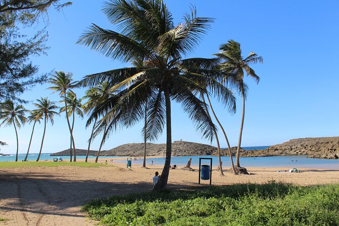 Small-Group North Coast Beach Hopping Adventure in Puerto Rico - What the small group changes